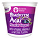 Blueberry Acaí Yogurt